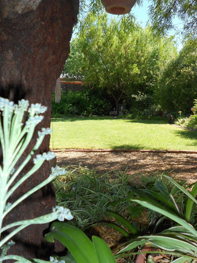 Pane Vivente Garden Cottage Beaufort West Exterior photo